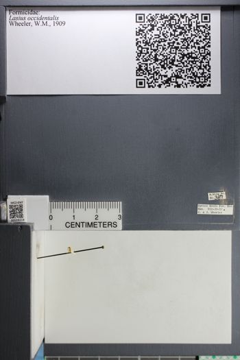 Media type: image;   Entomology 559219
